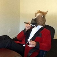 HorseGuyMan 
