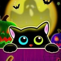 Cat Funkids
