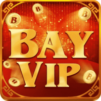 bayvipinfo2022