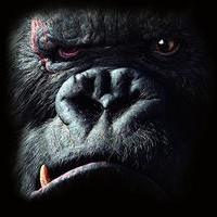 Сергей Глотов