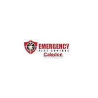  Emergency Pest Control CaledonWe always offer free estimates and consultations and 100% pest removal. Call us at 289-801-6577 today!