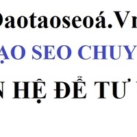 Đào tạo Seo 