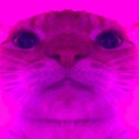 Andyxan