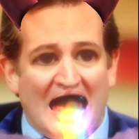 Zachbuzz