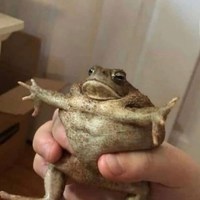 MrChayakaa