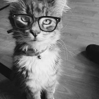 Алексей Кузьмин