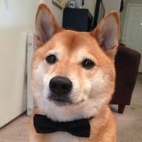 BorkBorkMotherHeckers
