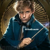 MrNewtScamander