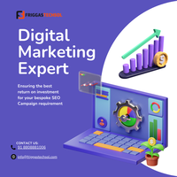 FriggasTechsol Agency