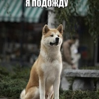 PutinWillNeverDie