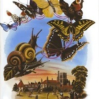 Дверь Открой