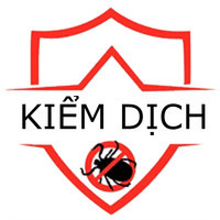 Dịch vụ kiểm soát côn trùng gây hại chuyên nghiệp - Kiểm Dịch Hà Nội