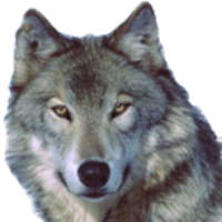 Твой Дмитрий Юрьевич