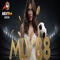 CEO MLV88