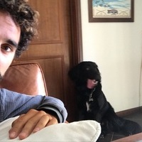 Alfonso 