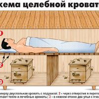 шагзашагом сонзасном