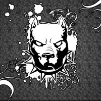 Ivankov27
