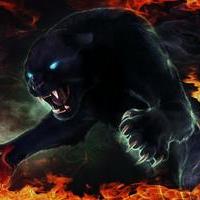 panther123