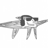 Xiphia Music