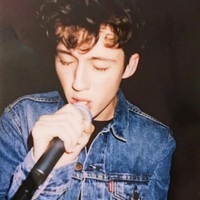 emsivan