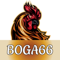 boga66casino