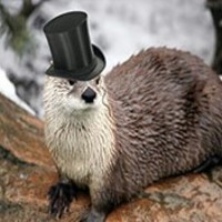 TheFanciestOtter 