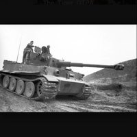 The Tiger Gtpa
