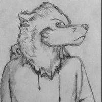 FlueBlueWolf(Killua)