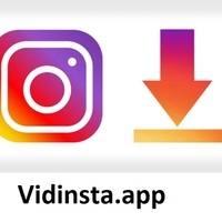 vidinta