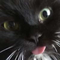 HilariousYawl5
