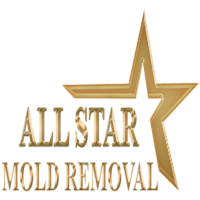 allstarmoldremoval