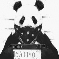 MrPigPanda