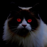 Павел Конохов