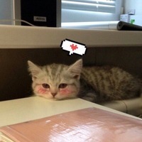 ๒єчн๏ ๓๏ԉ๏д๏ú