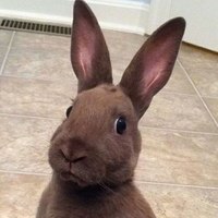Максим Kun