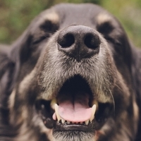 На пике дружбы!