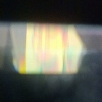 Никита Шушкин