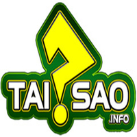Tại Sao Info