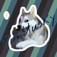 PunHusky