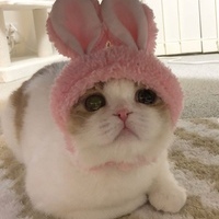 Хочешь, поmurchu?