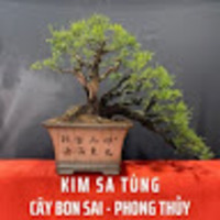 Kimsatung website