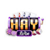 Haywin 