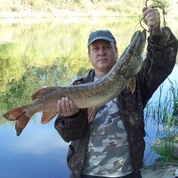 Валерий Филиппов