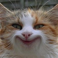 КотусМартовский