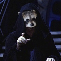 Professorraccoon