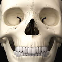 Visual Science