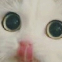 Mudotyomiy