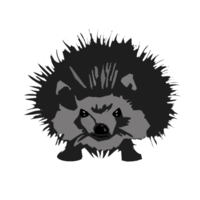 DSS