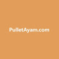 Pullet Ayam