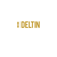 deltinseo0